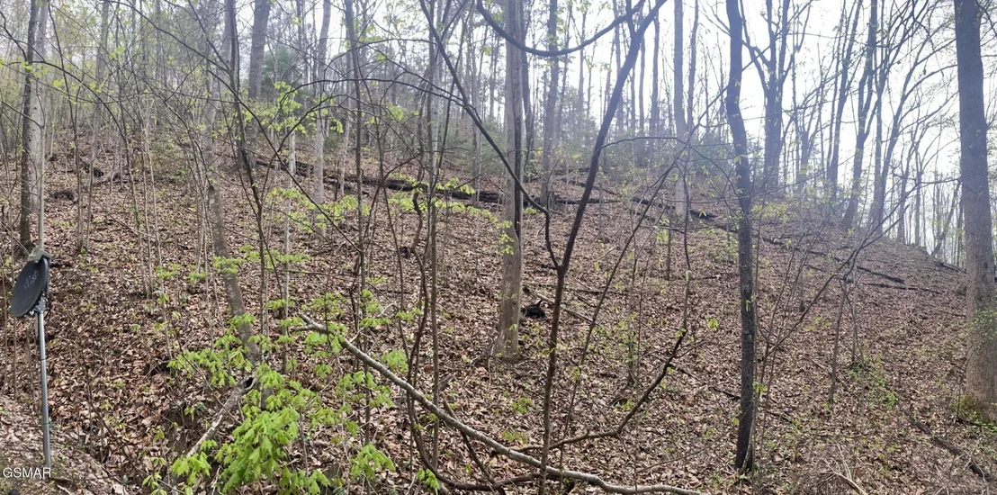 Photo of 2744 Black Walnut Flats Road