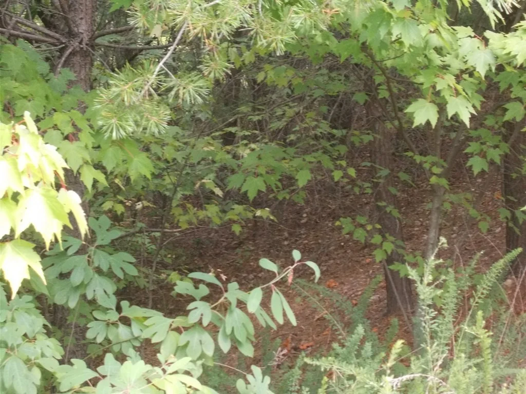 Photo of 0 Stackstone Road