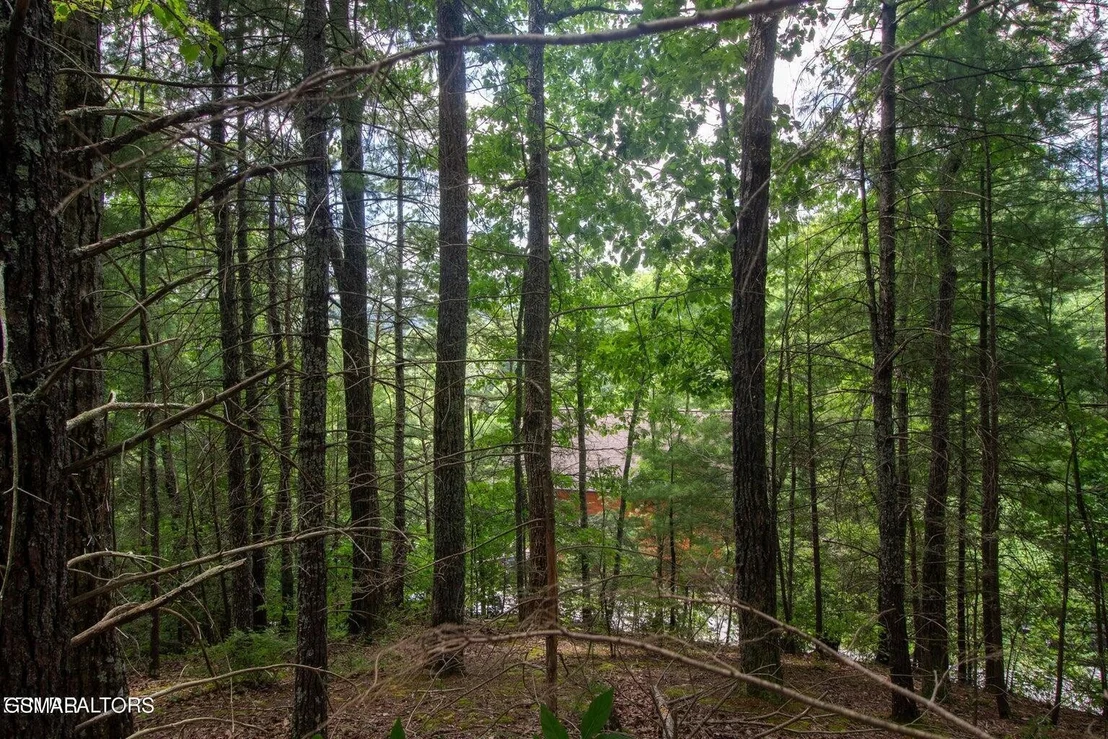 Photo of 13 High Top Loop