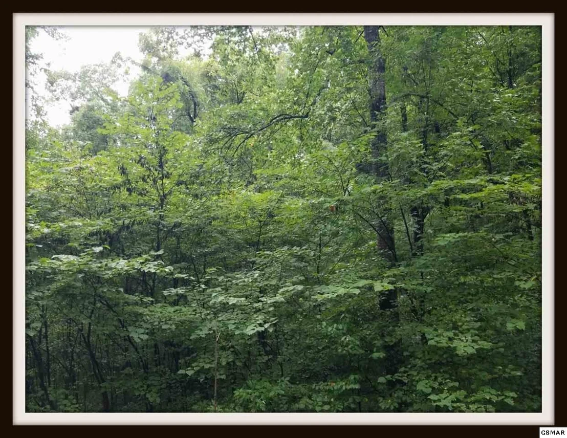 Photo of 9 Blowing Cave Road