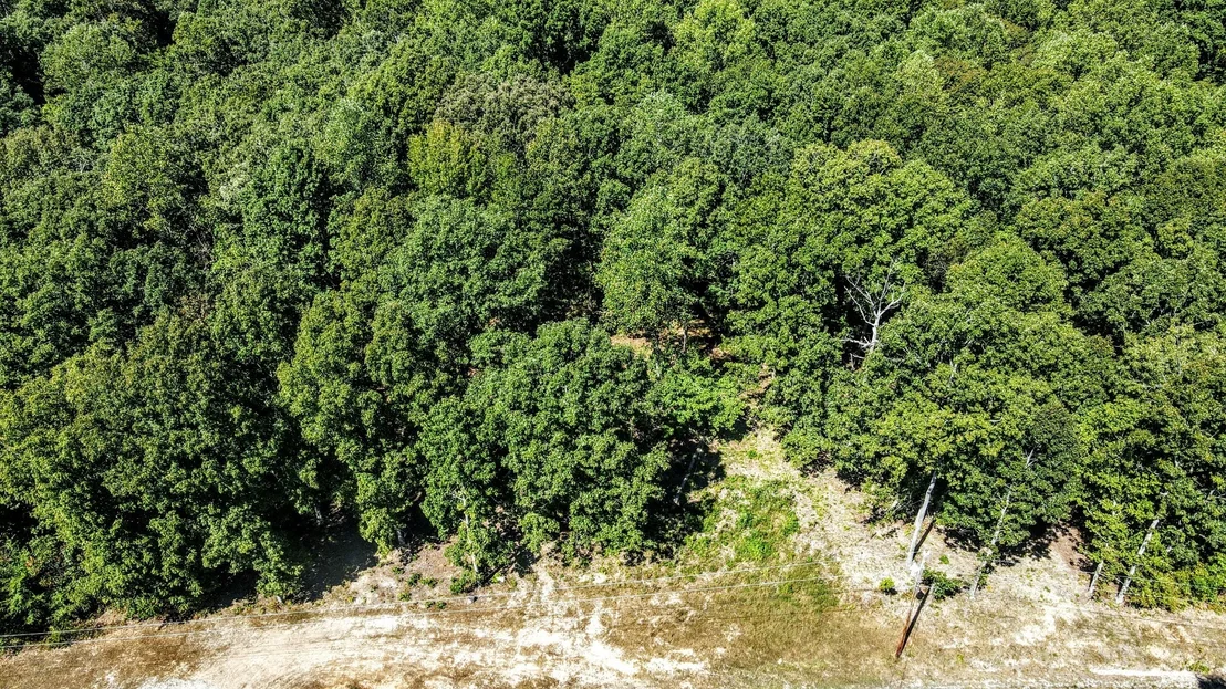 Photo of 2770 Mayne Trace Rd