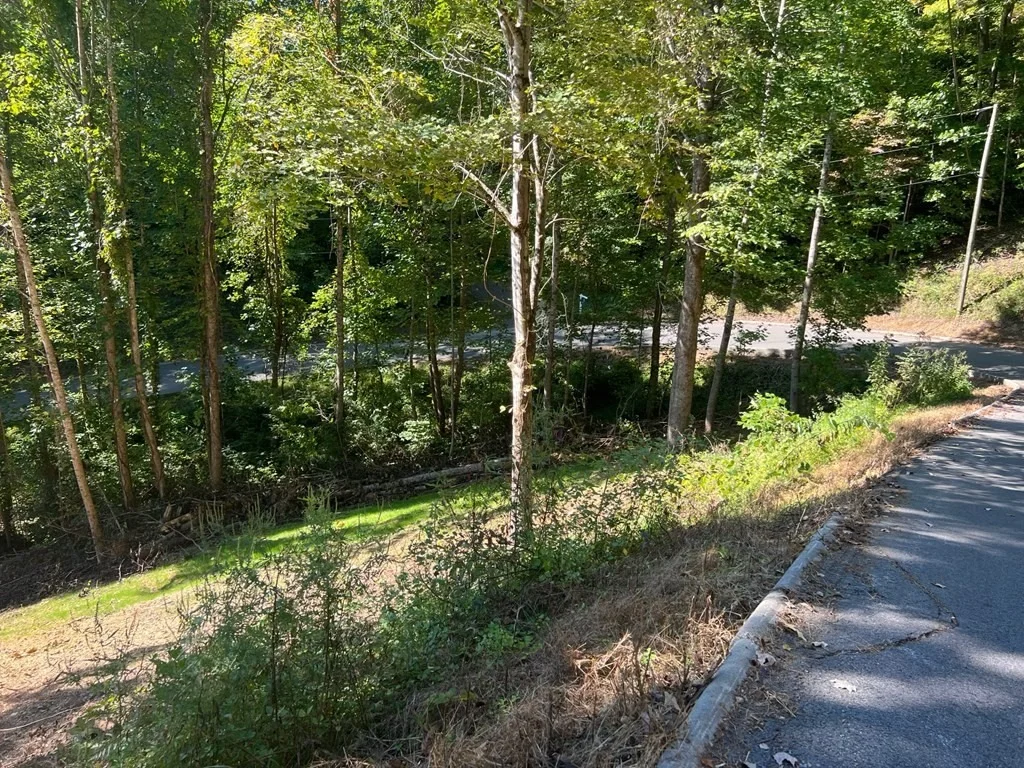 Photo of 1941 SB Ogle Lane