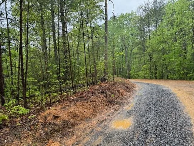 Photo of 2002 Hidden Hollow Way