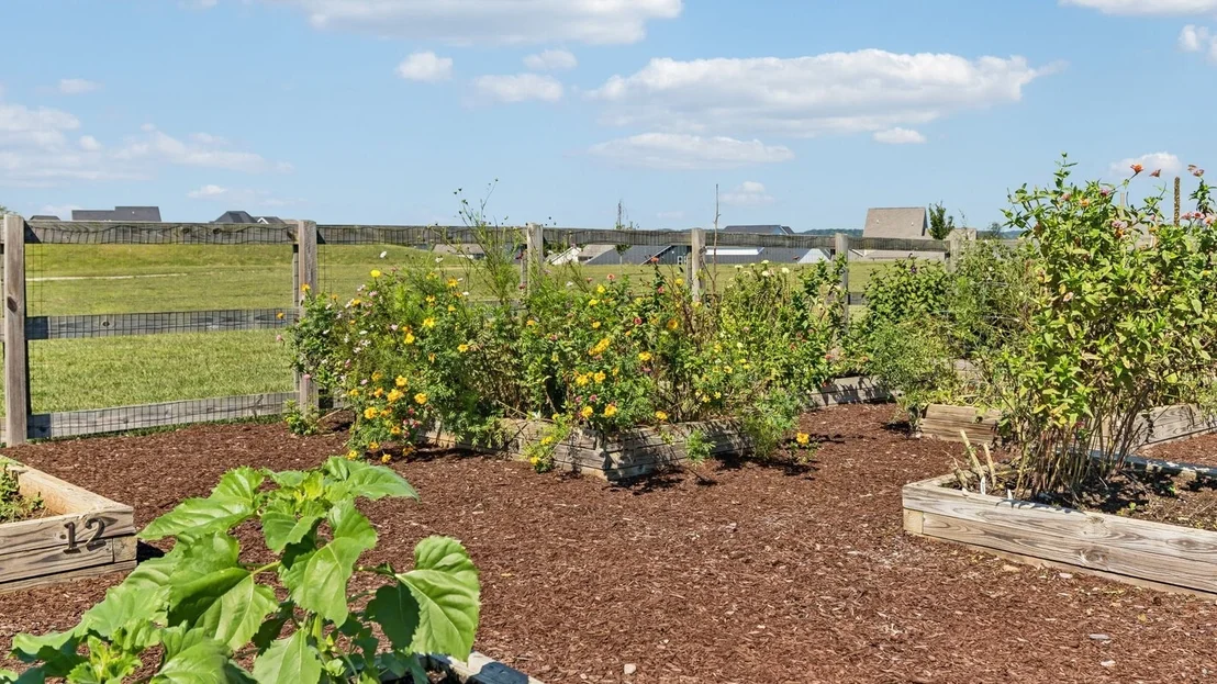 Photo of 308 Harvest Point Blvd