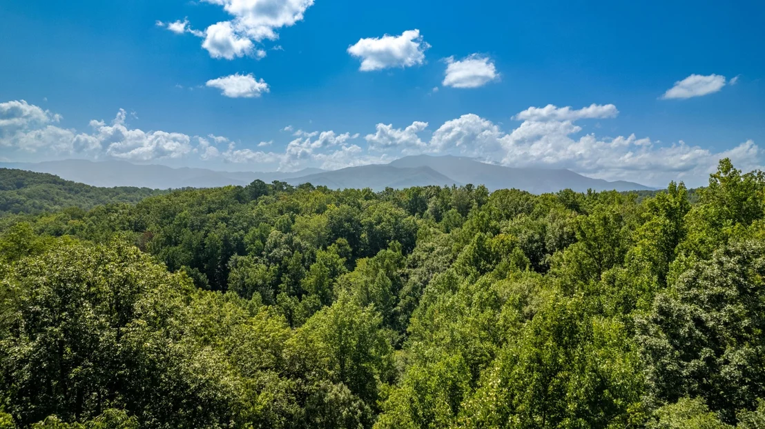 Photo of 11 Spring Hill Drive
