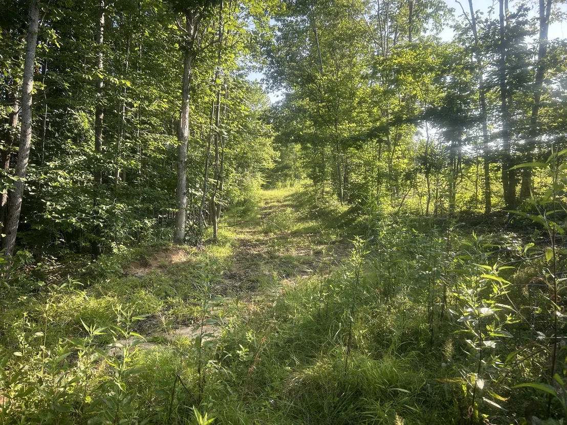 Photo of 2853 Old Natchez Trace Trail