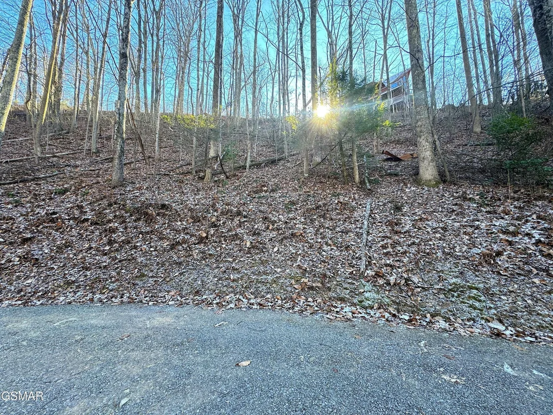 Photo of 1872 Orchard Drive