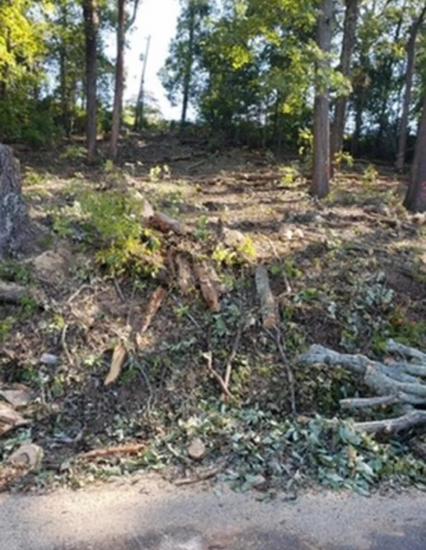 Photo of 40 Clift Trail