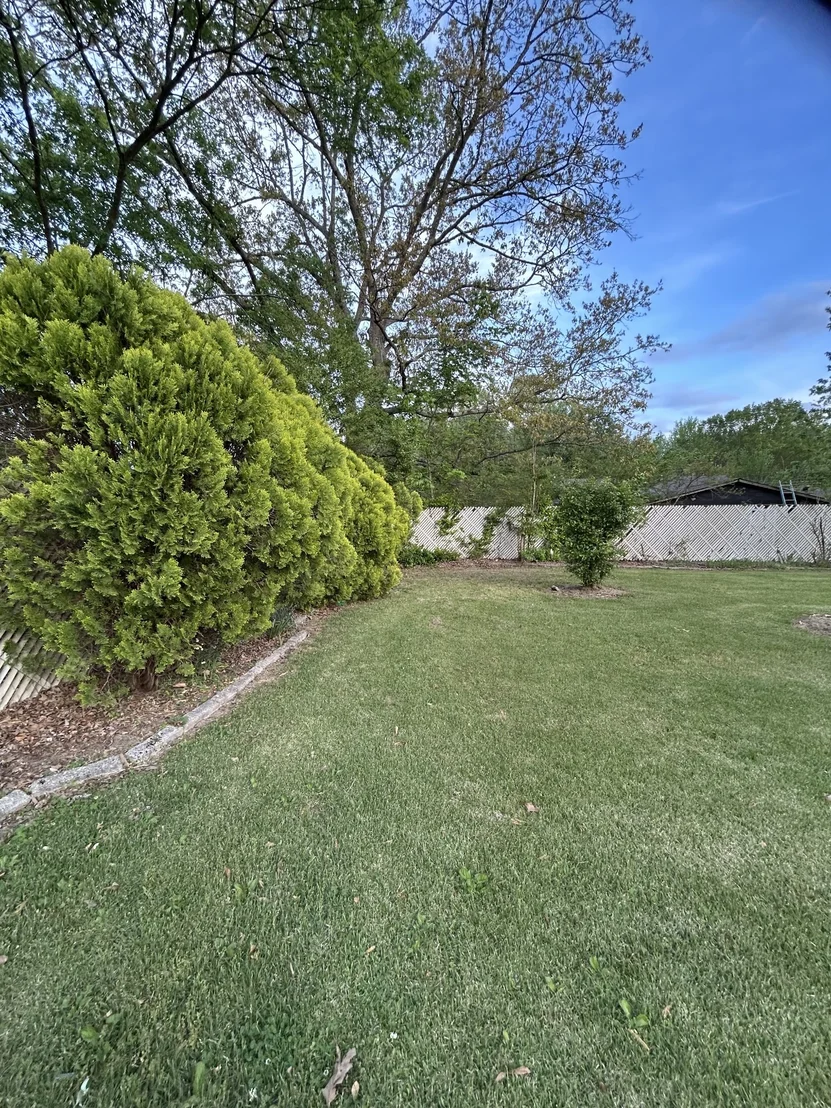 Photo of 36 Sweetbay Dr