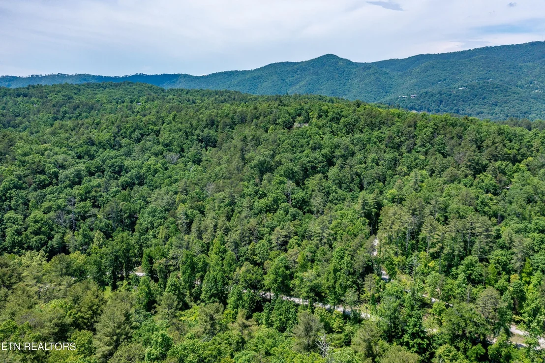 Photo of 0 Chilhowee Loop