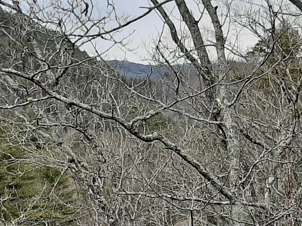 Photo of 834 Tanasi Trail