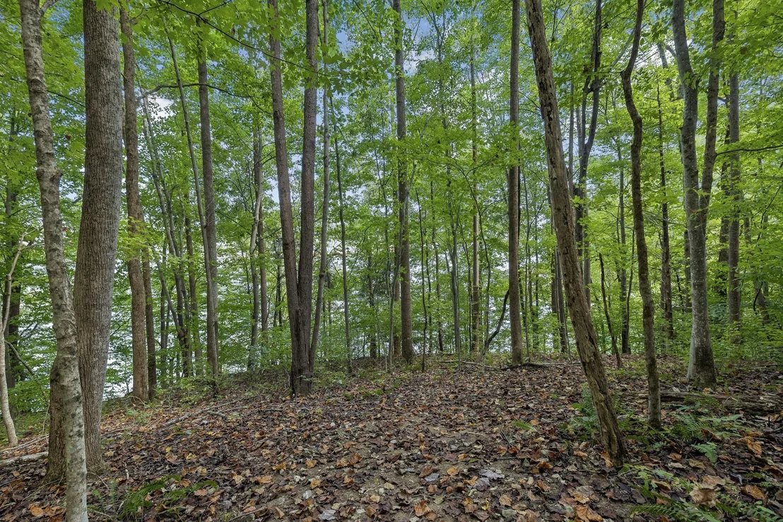 Photo of 2304 Backbone Rd