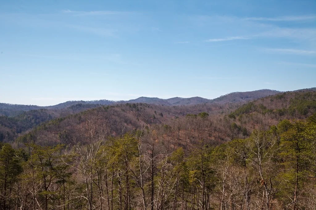 Photo of 3134 Smoky Bluff Trail