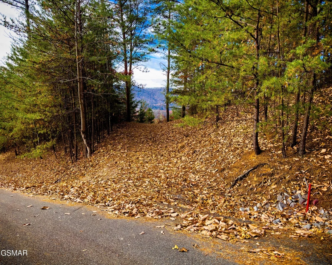 Photo of 12 Stackstone Road