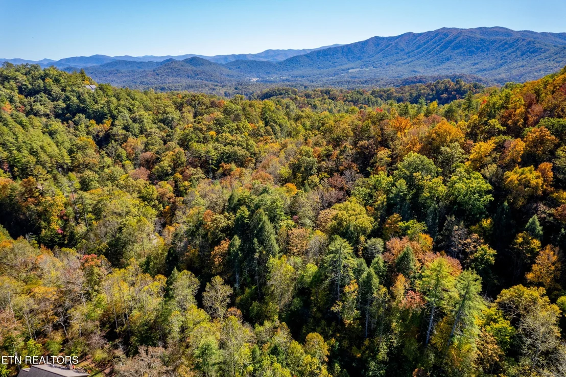 Photo of 716 Tanasi Trail