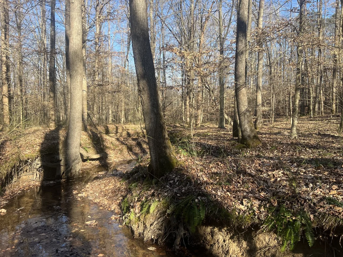 Photo of 0 Excalibur Trail