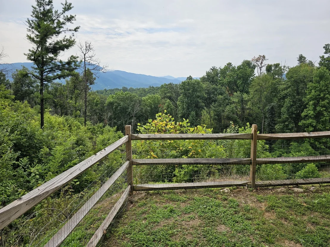 Photo of 2729 Hatcher Mountain Road
