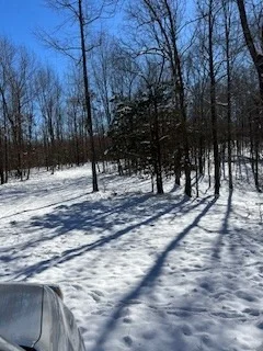 Photo of 1090 Brown Mill Rd