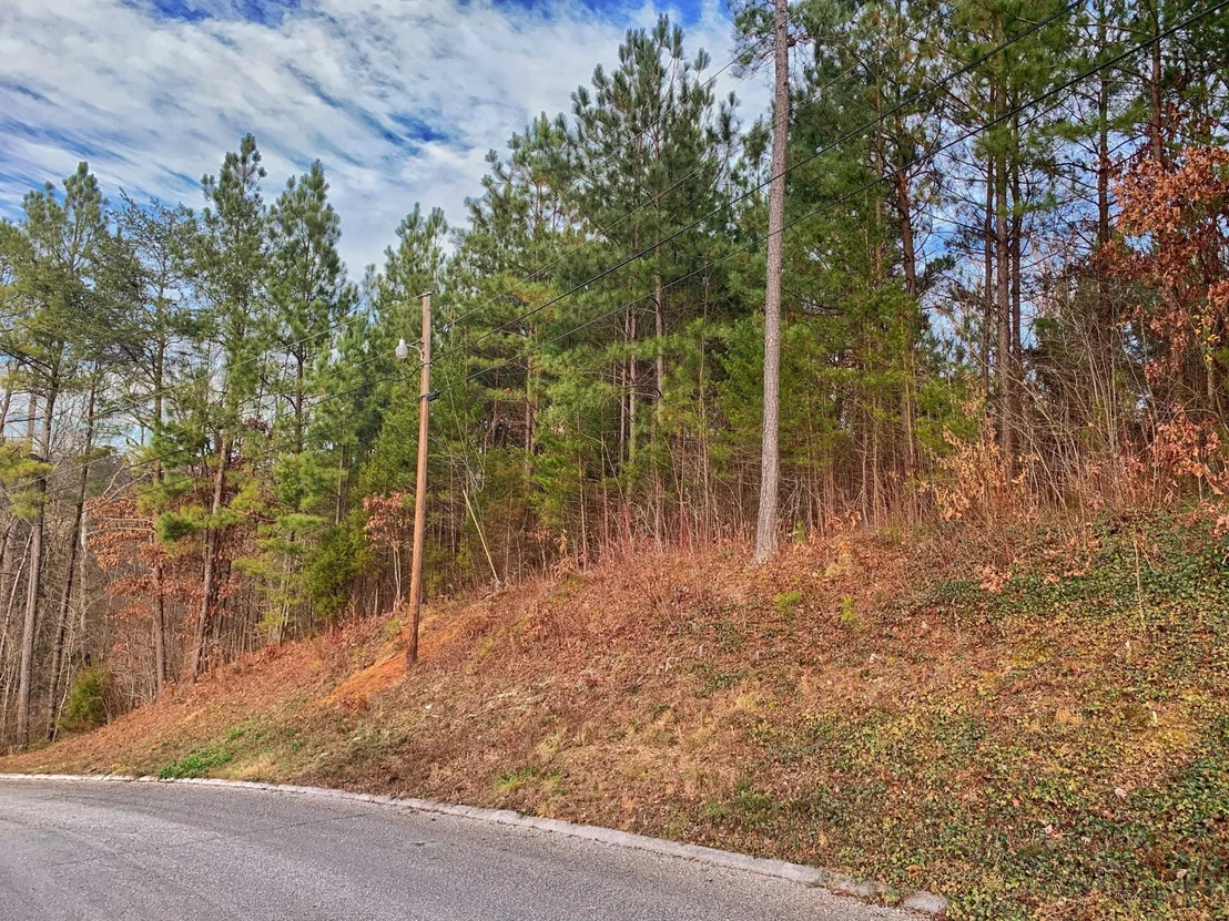 Photo of 14 Pinecrest Drive