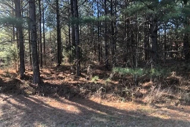 Photo of 155 White Water Run Lane