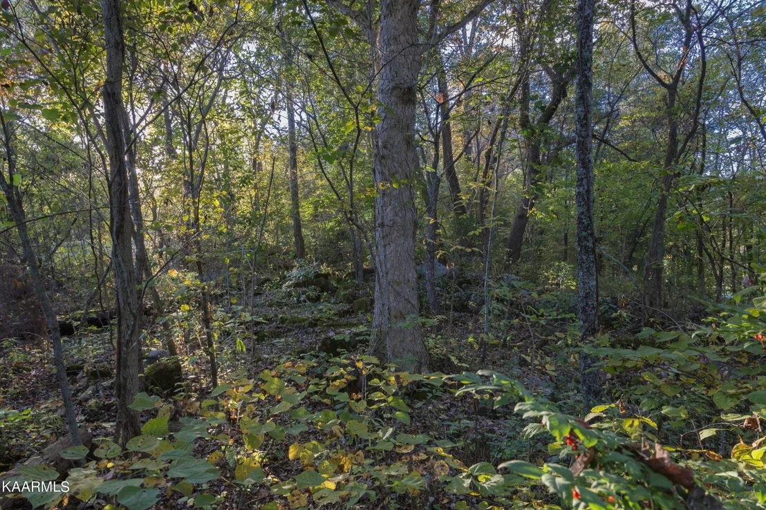 Photo of 6 Spring View Drive