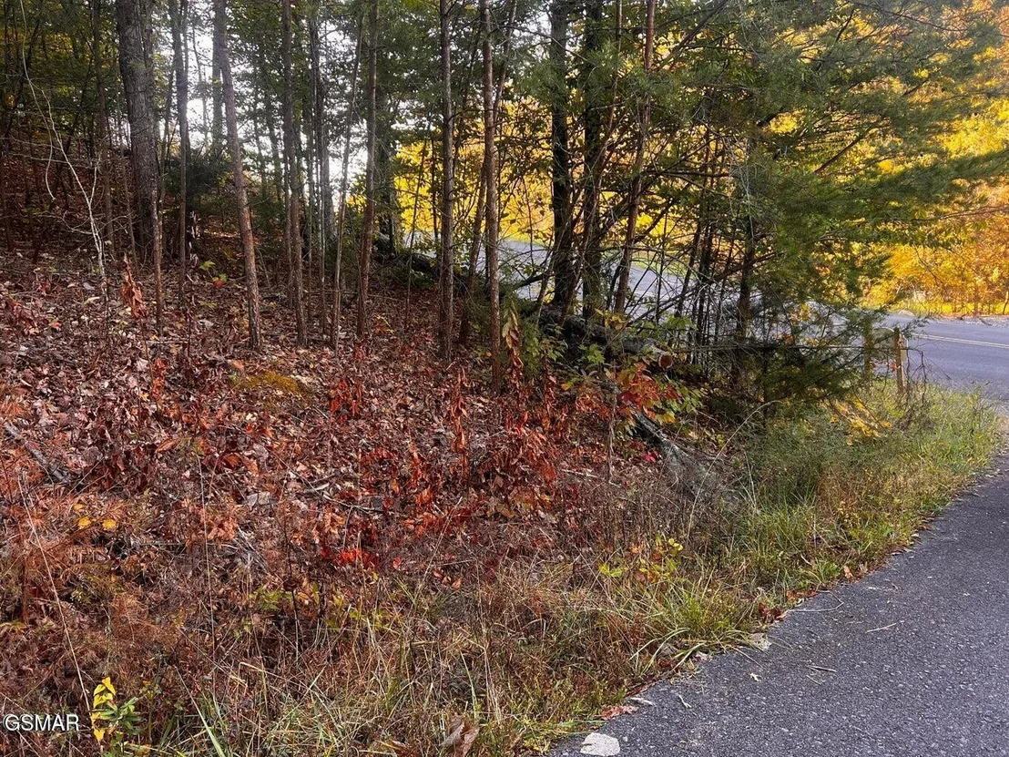 Photo of 124 Sharp Road