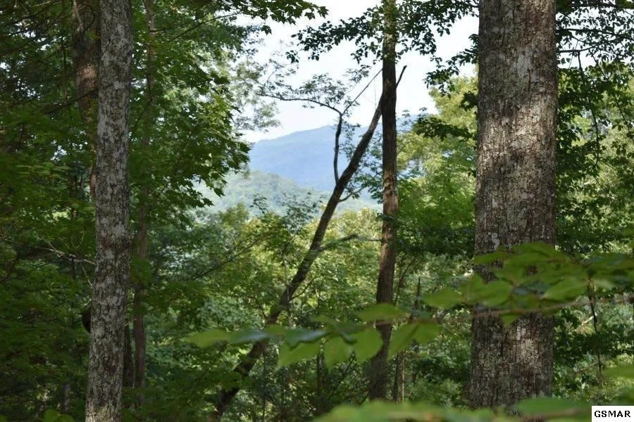 Photo of 3036 Redtail Road