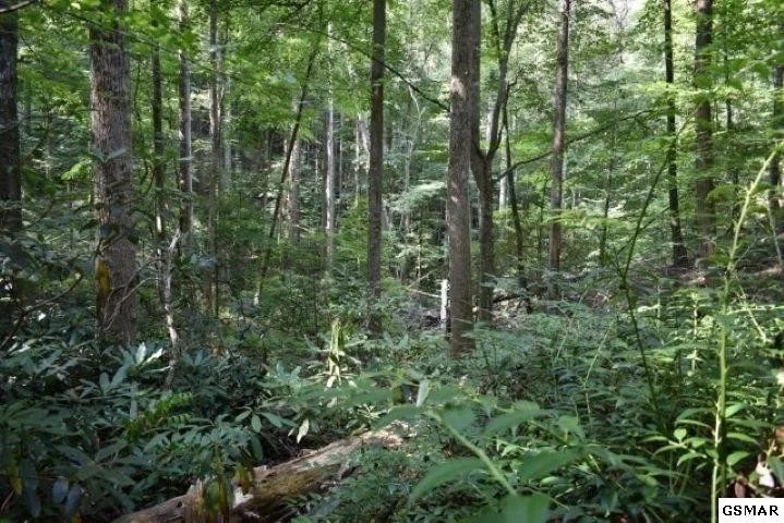 Photo of 3036 Redtail Road