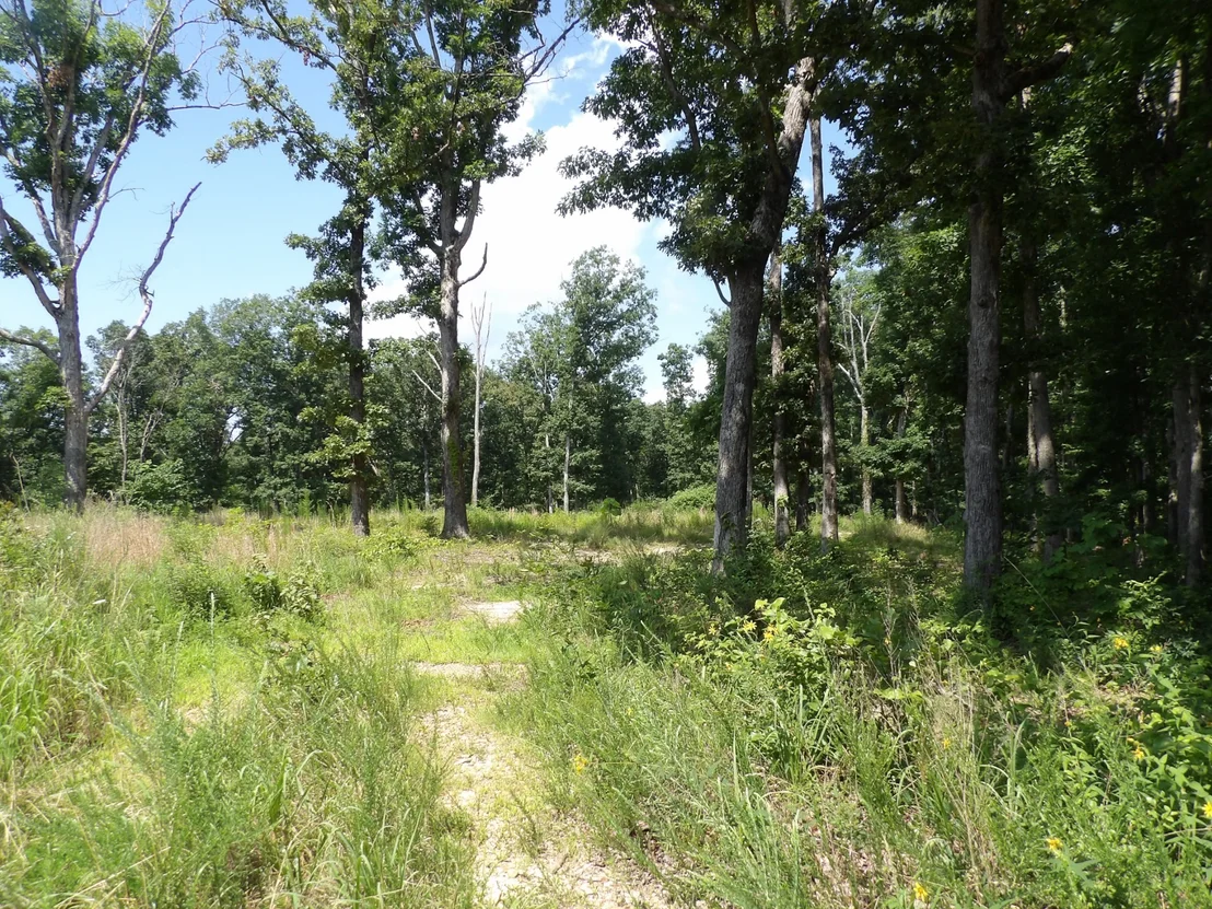 Photo of 755 Old Highway 13