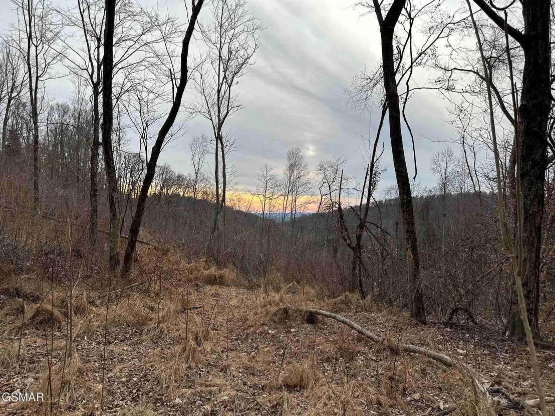 Photo of 1820 Babbs Mill Road