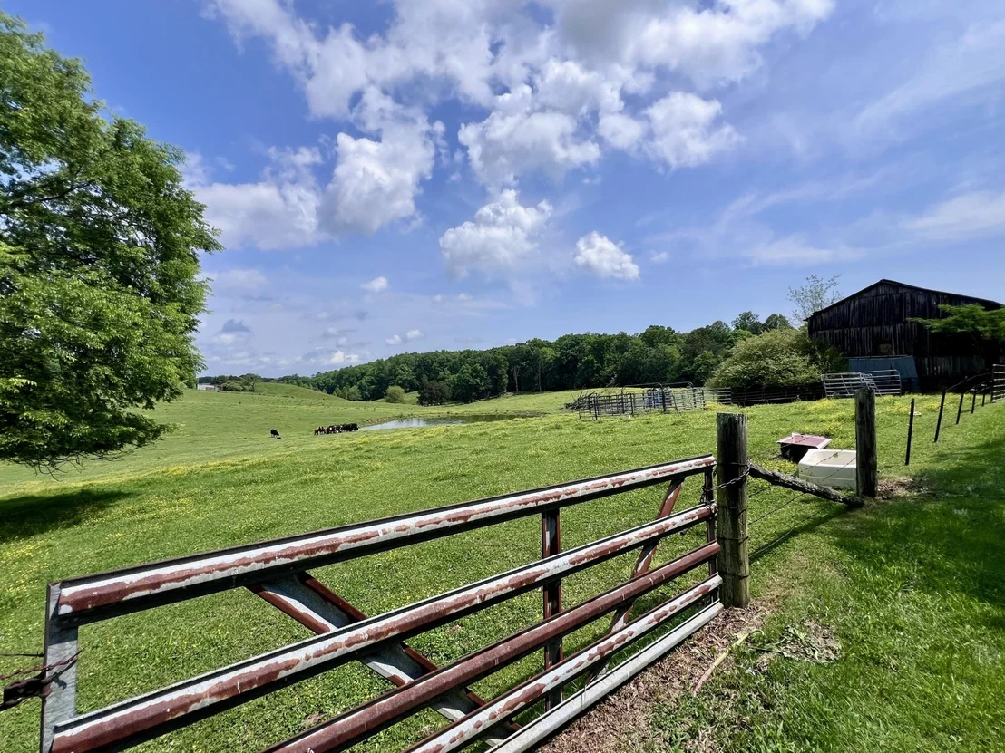 Photo of 1689 Ridge Road