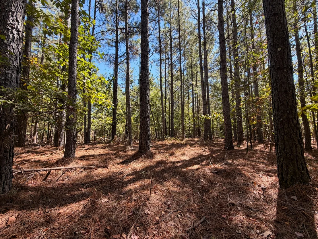 Photo of 0 Coy Hill Rd
