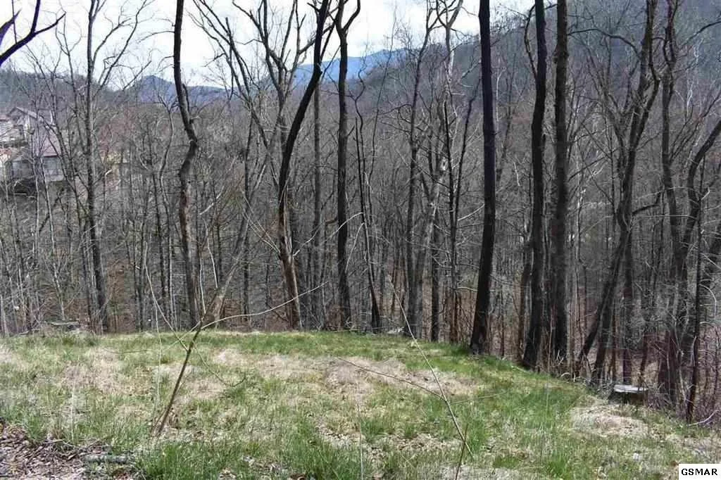 Photo of 829 Clabo Loop Road