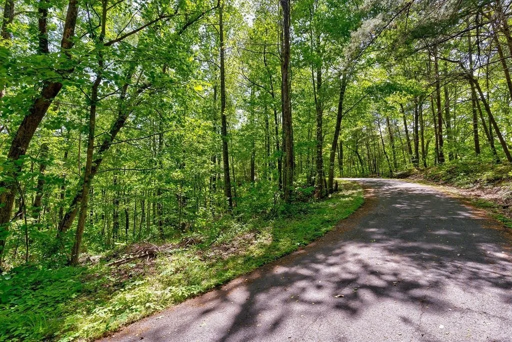 Photo of 1130 Ski View Lane