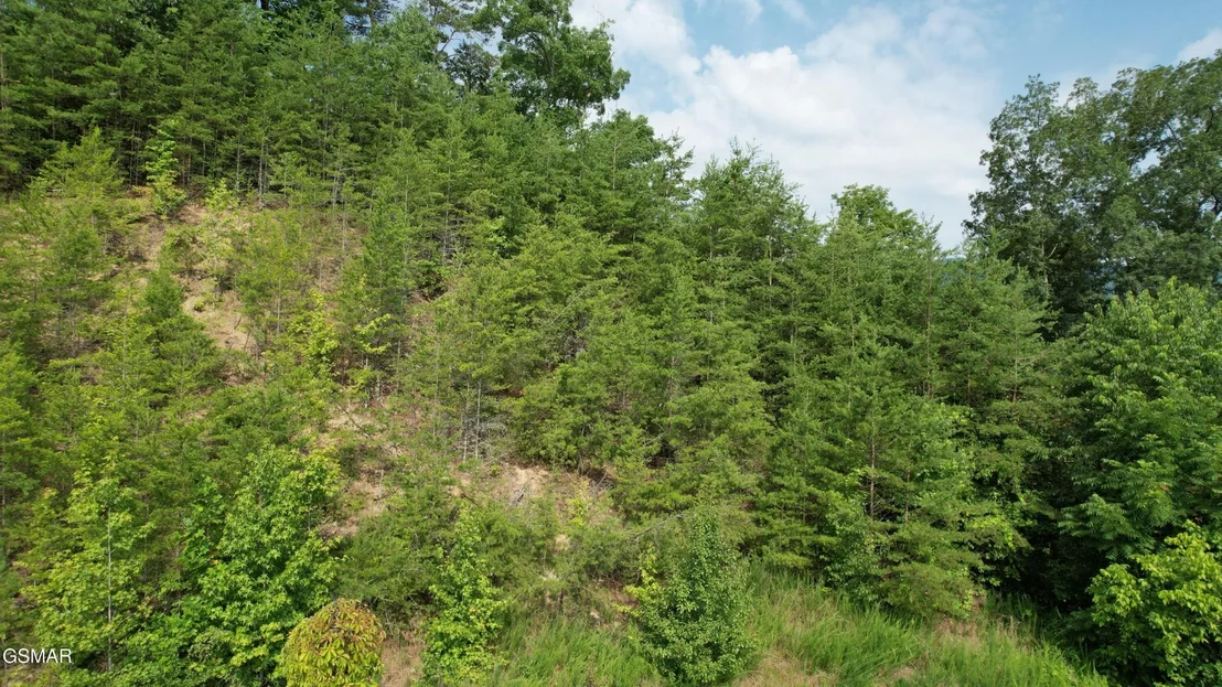 Photo of 3150 Cherokee Valley Drive