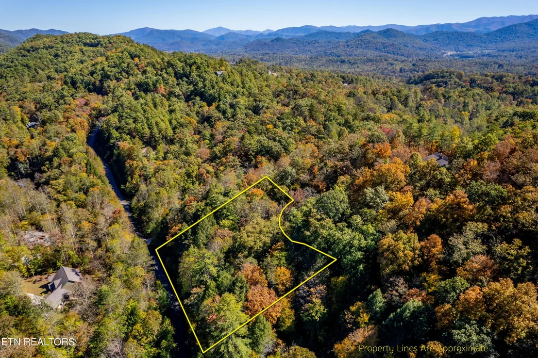 Photo of 716 Tanasi Trail