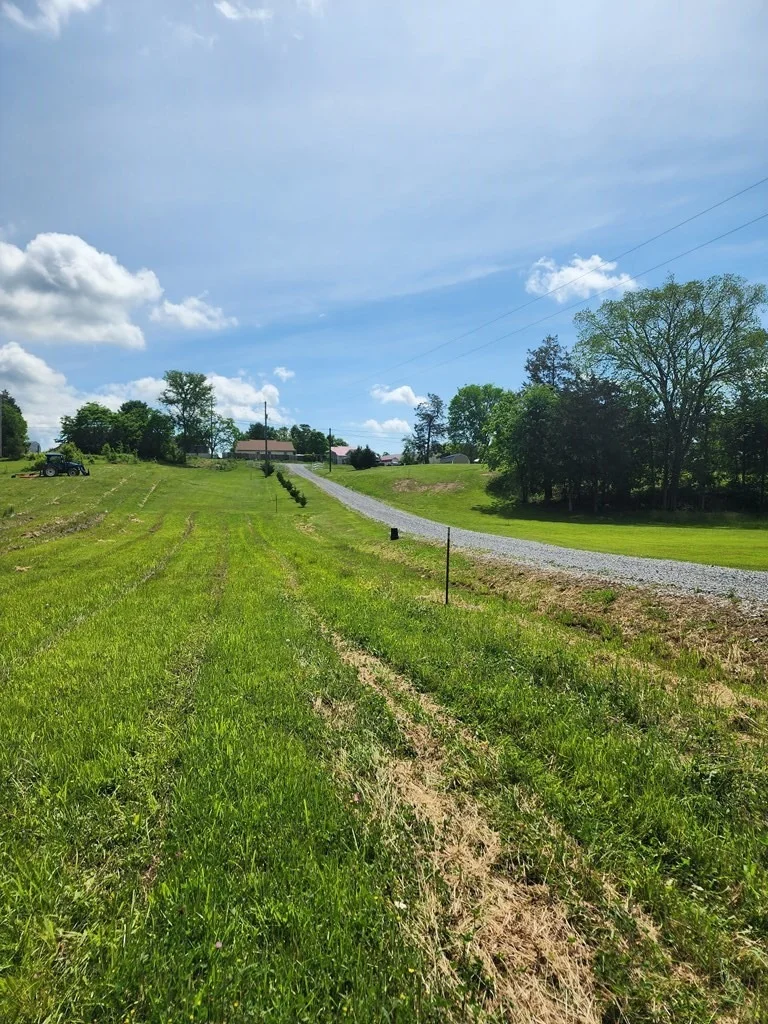 Photo of 16 Red Bud Lane