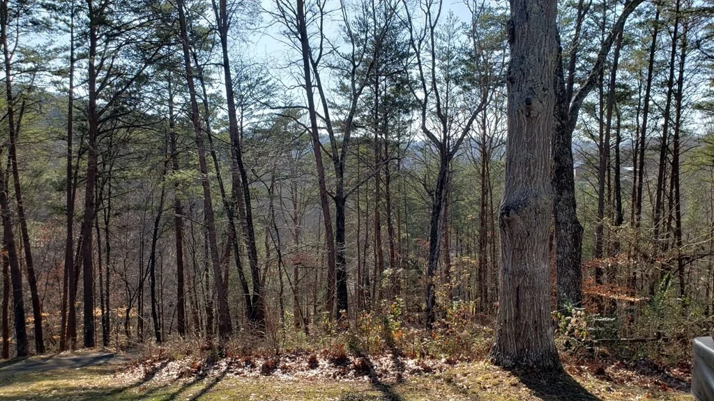 Photo of 2905 Caughron Mountain Road