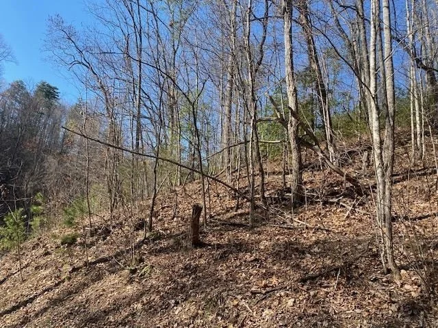 Photo of 1765 Red Bud Road
