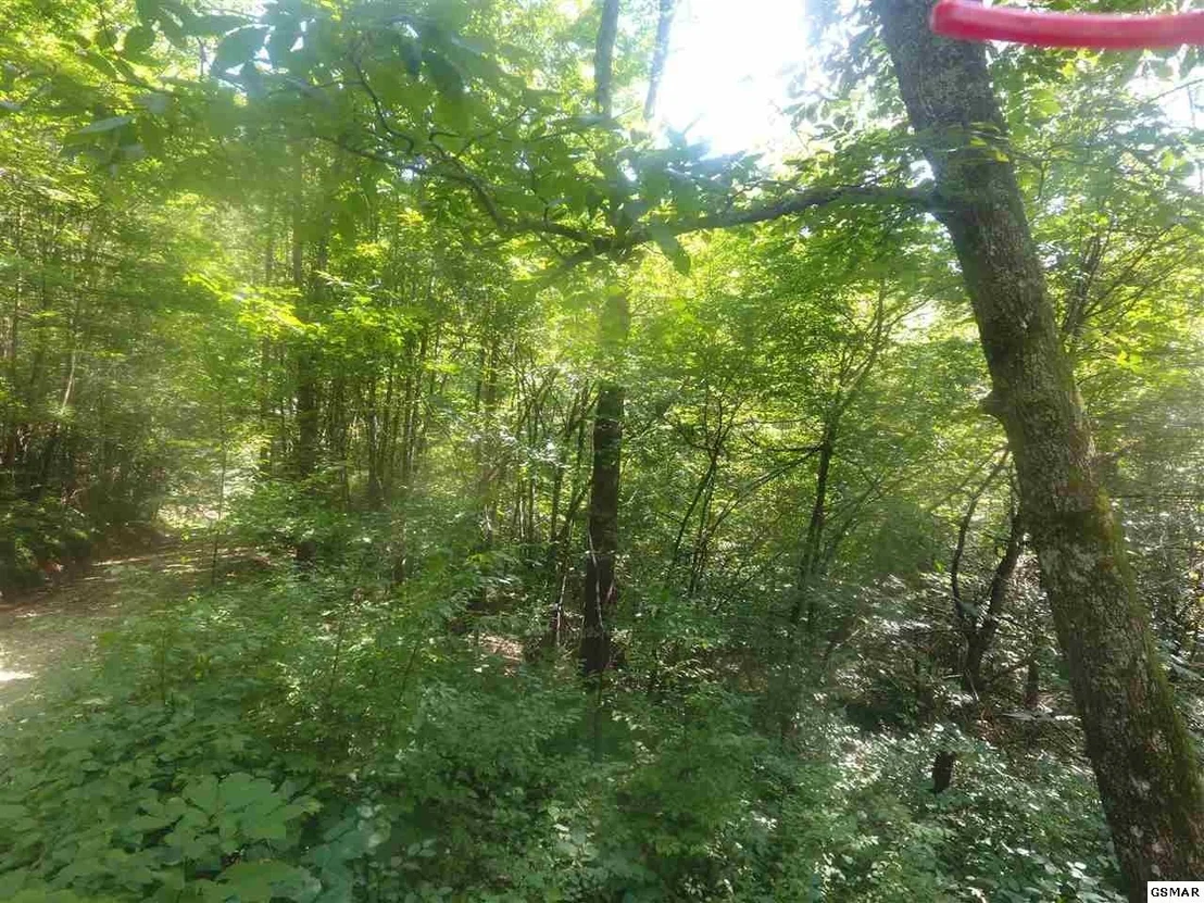 Photo of 3695 Shady Springs Way