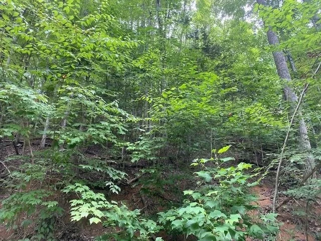 Photo of 0 Balsam Circle