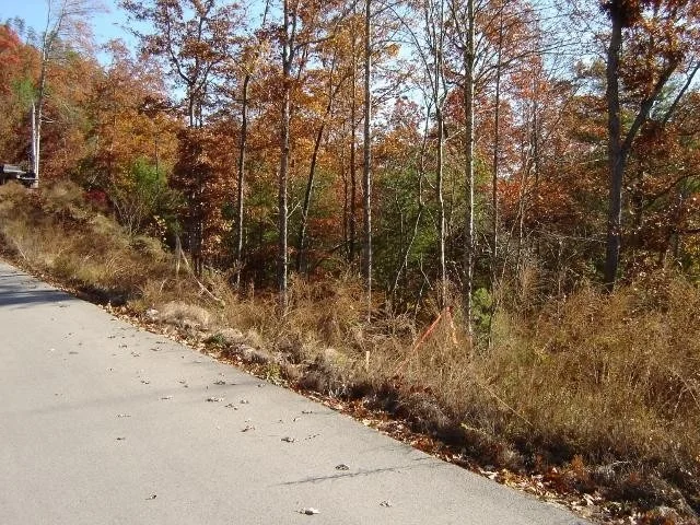 Photo of 138 Anatole Pass