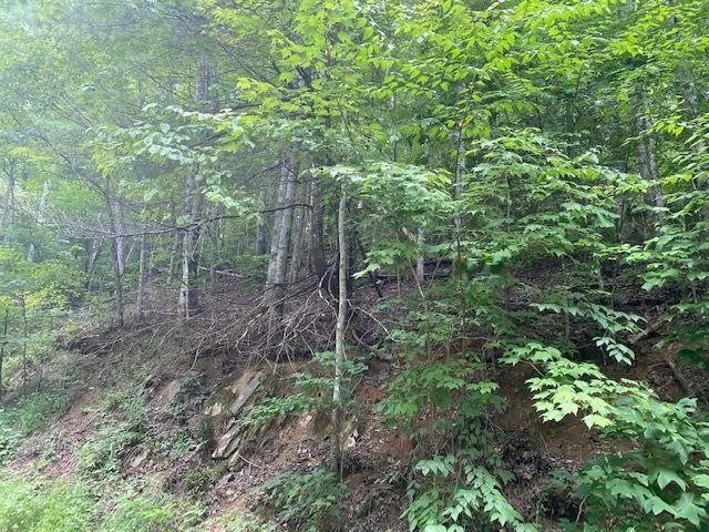 Photo of 0 Balsam Circle