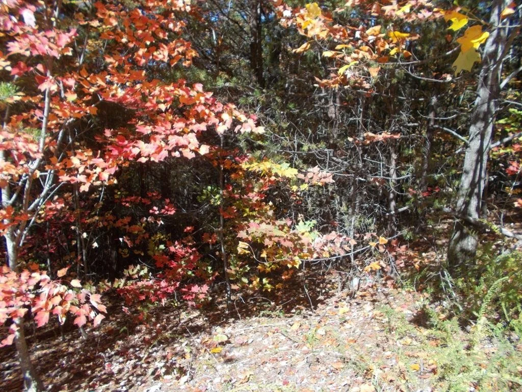 Photo of 0 Stackstone Road