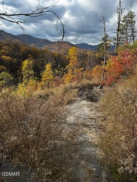 Photo of 3221 Emerald Springs Loop