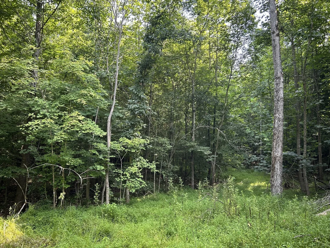 Photo of 2853 Old Natchez Trace Trail