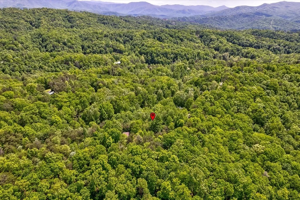 Photo of 1130 Ski View Lane