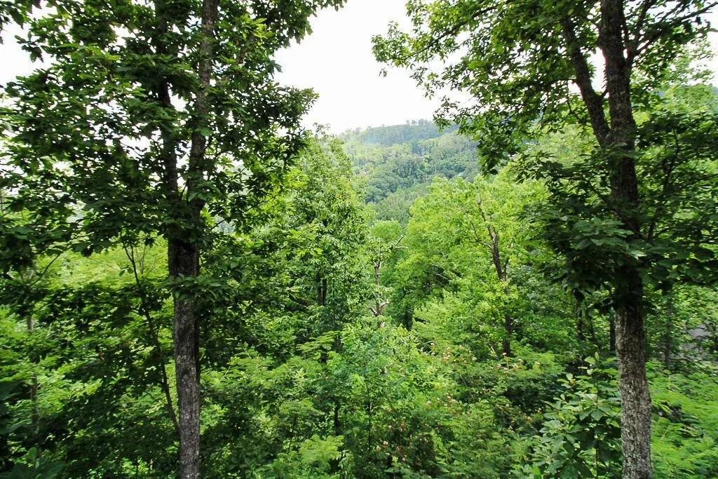 Photo of 443 Loop Road
