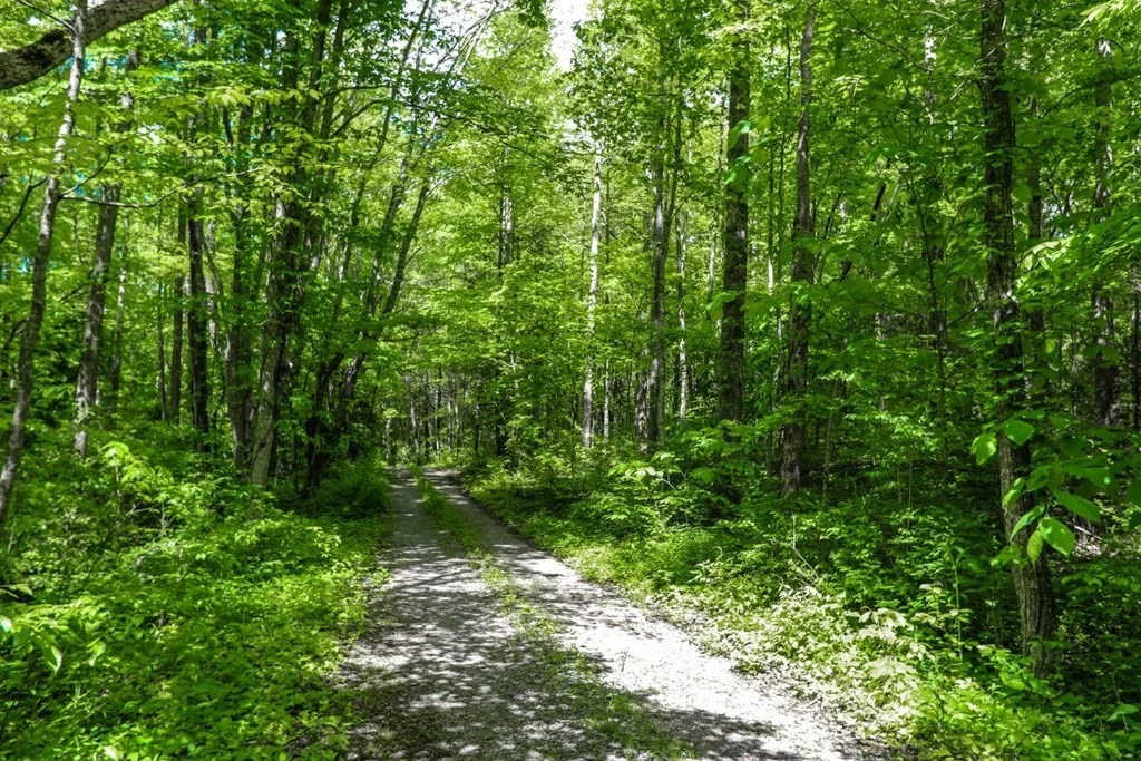 Photo of 836 Cool Way