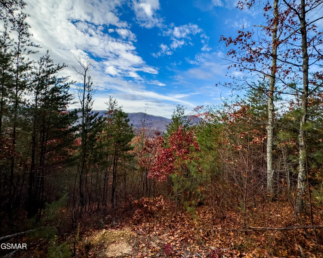Photo of 12 Stackstone Road